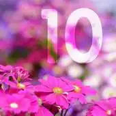 Free play online The 10 APK Free play online The 10 APK