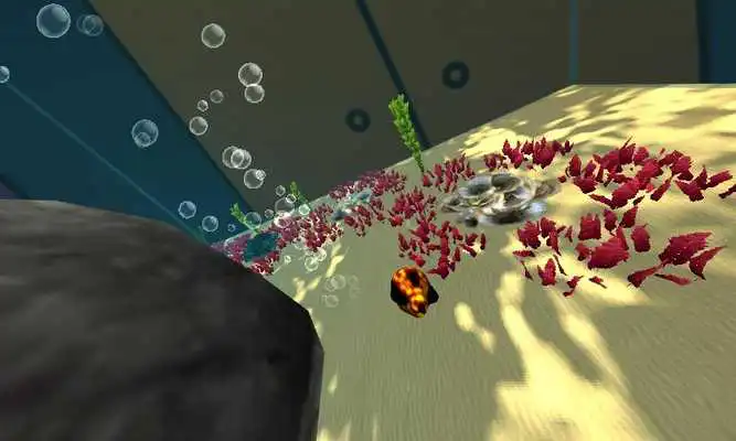 Play The 3D Game About Fish