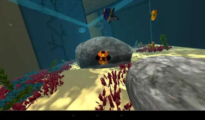 Play The 3D Game About Fish