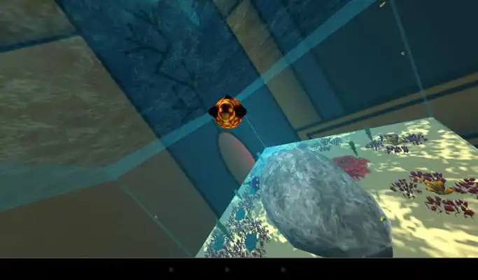 Play The 3D Game About Fish