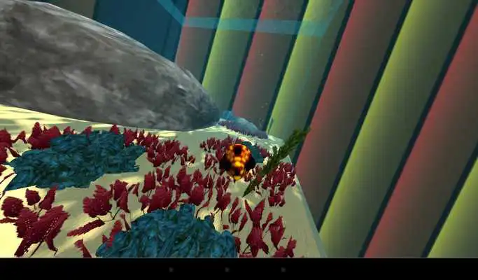Play The 3D Game About Fish