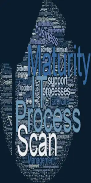 Play The 5-minute IT Process Maturity Scan  and enjoy The 5-minute IT Process Maturity Scan with UptoPlay