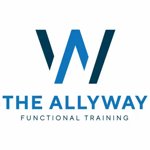 Play THE ALLYWAY APK Play THE ALLYWAY APK