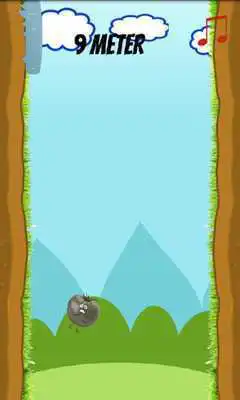 Play The Angry Tomato