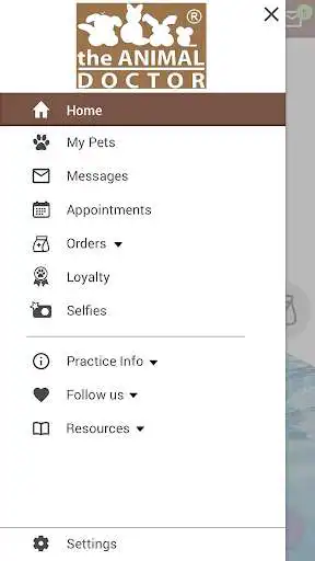 Play The Animal Doctor as an online game The Animal Doctor with UptoPlay