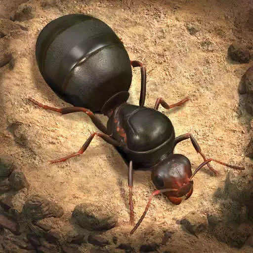 Play The Ants: Underground Kingdom APK