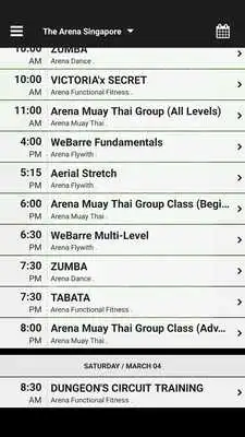 Play The Arena