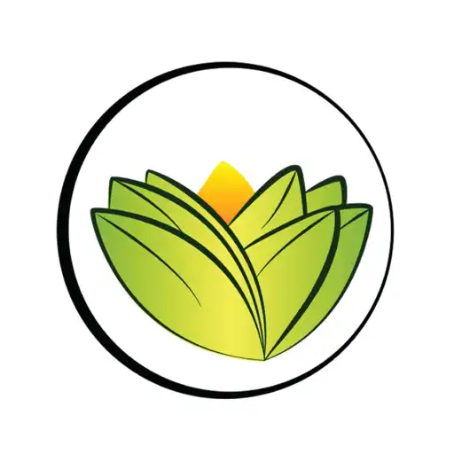 Play The Ayurveda Experience DE APK