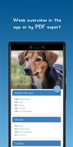 Play The BARF App as an online game The BARF App with UptoPlay
