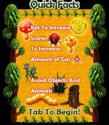 Play The Beetles Play The Beetles