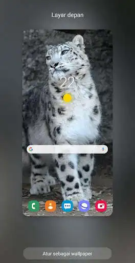 Play The Best Leonard Wallpaper  and enjoy The Best Leonard Wallpaper with UptoPlay