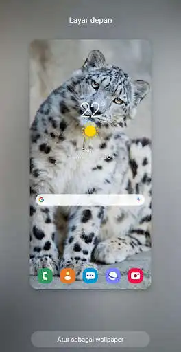 Play The Best Leonard Wallpaper as an online game The Best Leonard Wallpaper with UptoPlay