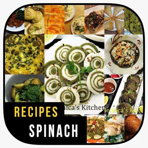 Play The Best Spinach Recipe APK