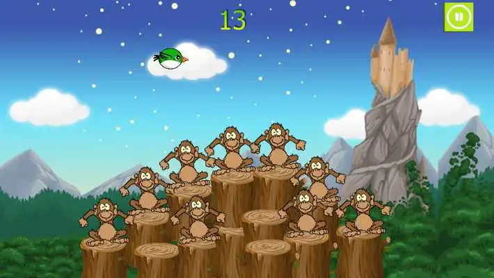 Play The Birds