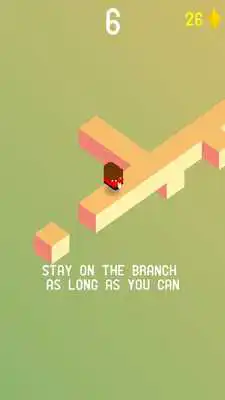 Play The Branch Play The Branch