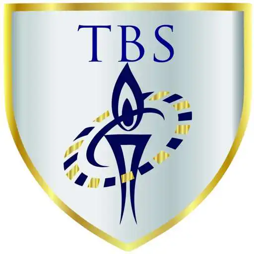 Free play online The Bridgewill School APK