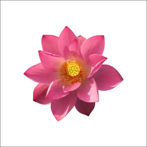 Play The Buddhist News APK