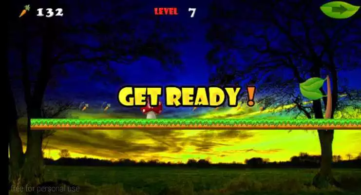 Play The Bunny Game-Run Run Run 2 D