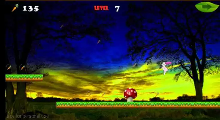 Play The Bunny Game-Run Run Run 2 D