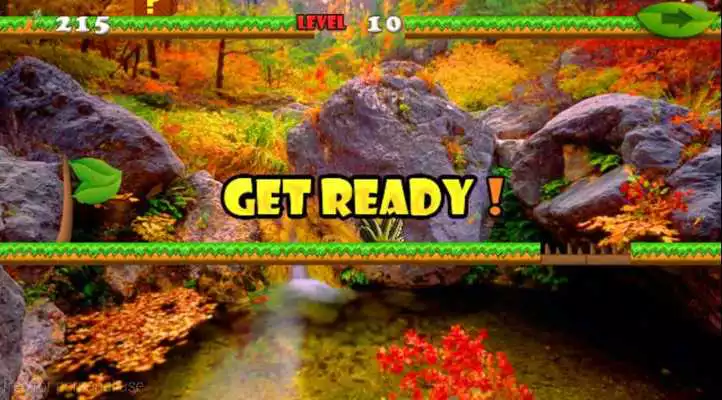 Play The Bunny Game-Run Run Run 2 D