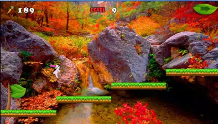 Play The Bunny Game-Run Run Run 2 D