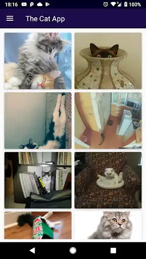 Play The Cat App  and enjoy The Cat App with UptoPlay