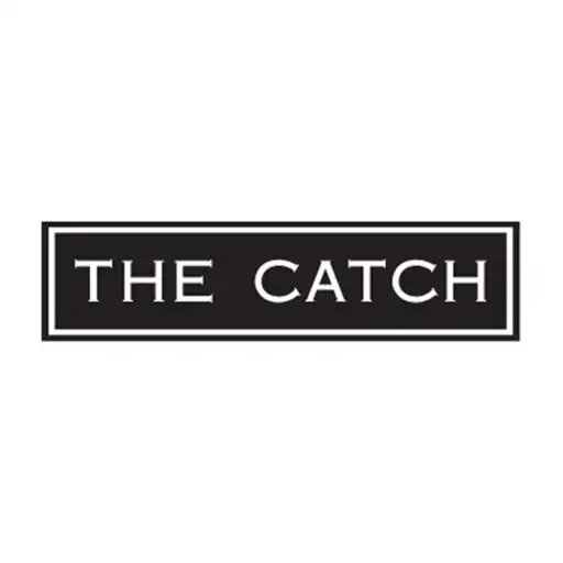 Play The Catch APK