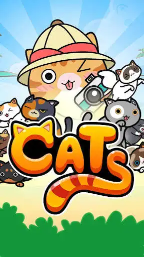 Play The Cats Paradise: Collector  and enjoy The Cats Paradise: Collector with UptoPlay