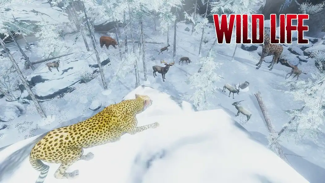 Play The Cheetah - Animal Simulator as an online game online The Cheetah - Animal Simulator with UptoPlay Play The Cheetah - Animal Simulator as an online game The Cheetah - Animal Simulator with UptoPlay