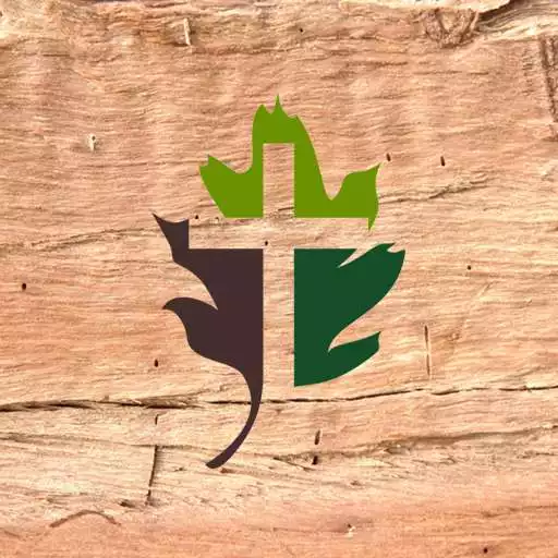 Play The Church at Eastern Oaks APK