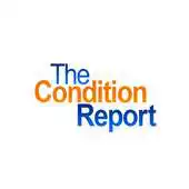 Free play online The Condition Report APK