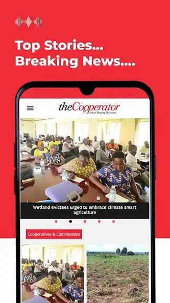 Play theCooperator News  and enjoy theCooperator News with UptoPlay