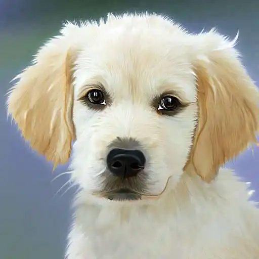 Play The cutest dog in the world 2021 APK Play The cutest dog in the world 2021 APK