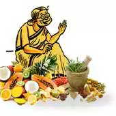 Free play online The Dadimaa Remedies APK Free play online The Dadimaa Remedies APK