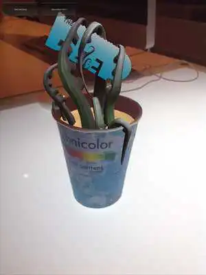 Play THE DEEP AR DEMO