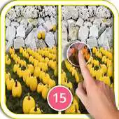 Free play online The Difference Free Game New APK