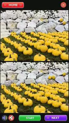 Play The Difference Free Game New