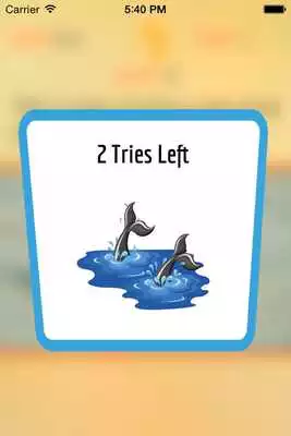 Play The Dolphin Trivia Game