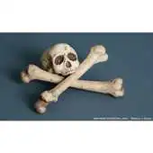 Free play online The Dragons Lair APK