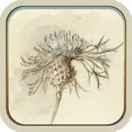 Free play online The Elements of Drawing APK Free play online The Elements of Drawing APK