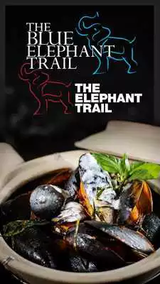 Play The Elephant Trail