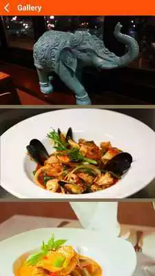 Play The Elephant Trail