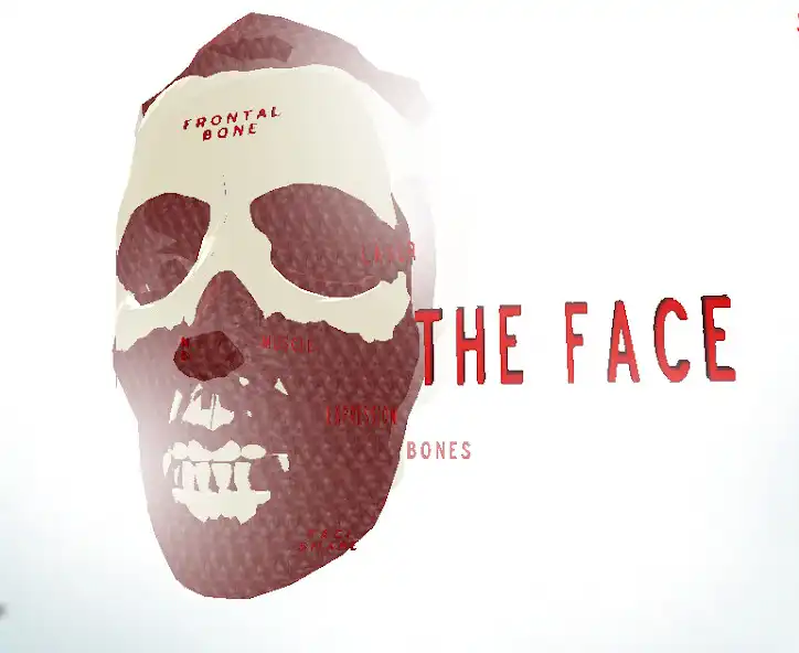 Play The Face VR  and enjoy The Face VR with UptoPlay