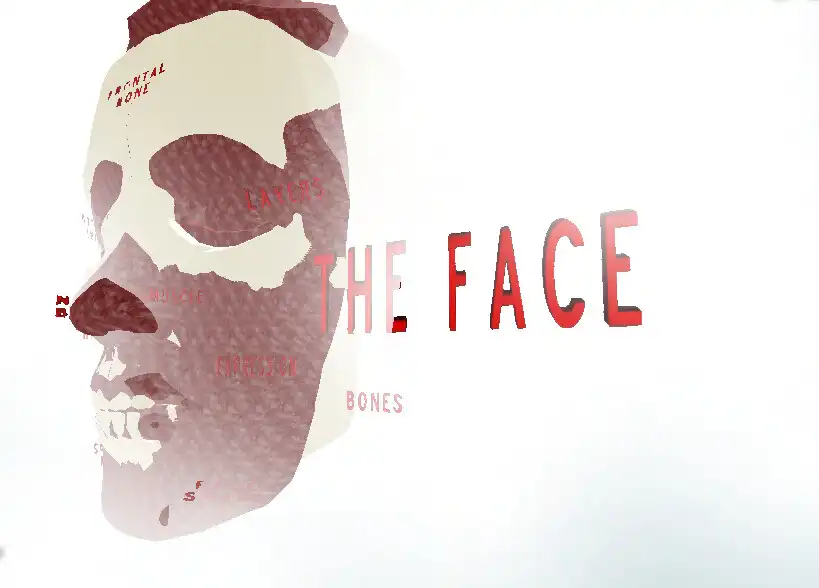 Play The Face VR as an online game The Face VR with UptoPlay