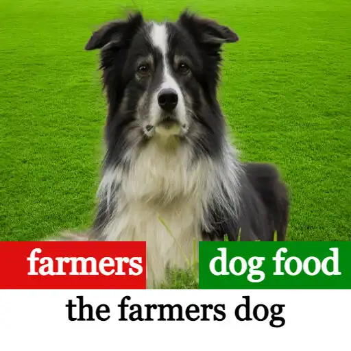 Play The Farmers Dog APK
