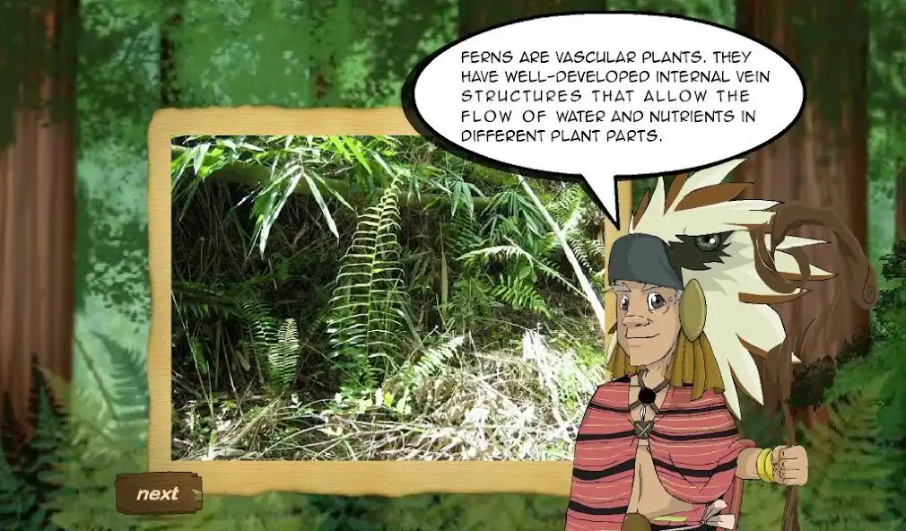 Play The Fern as an online game The Fern with UptoPlay