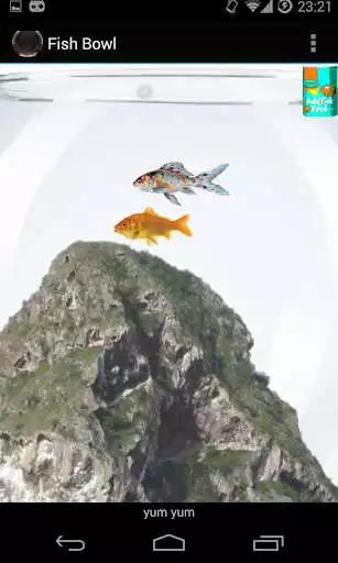 Play The Fish Bowl