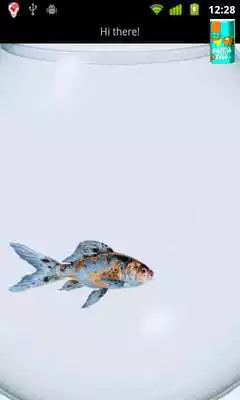 Play The Fish Bowl