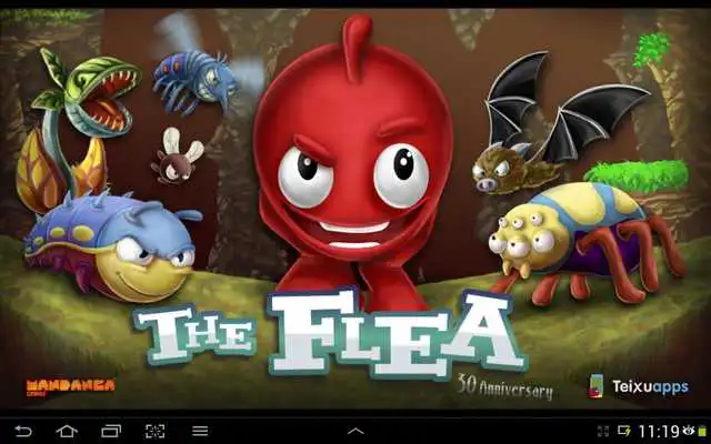 Play The Flea, Bird