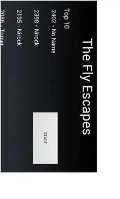 Play The Fly Escapes